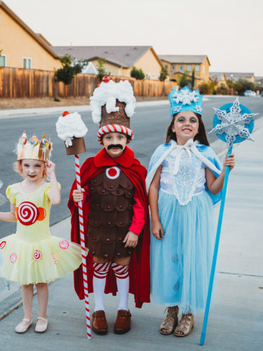 Candy Land Halloween Costumes – DIY
